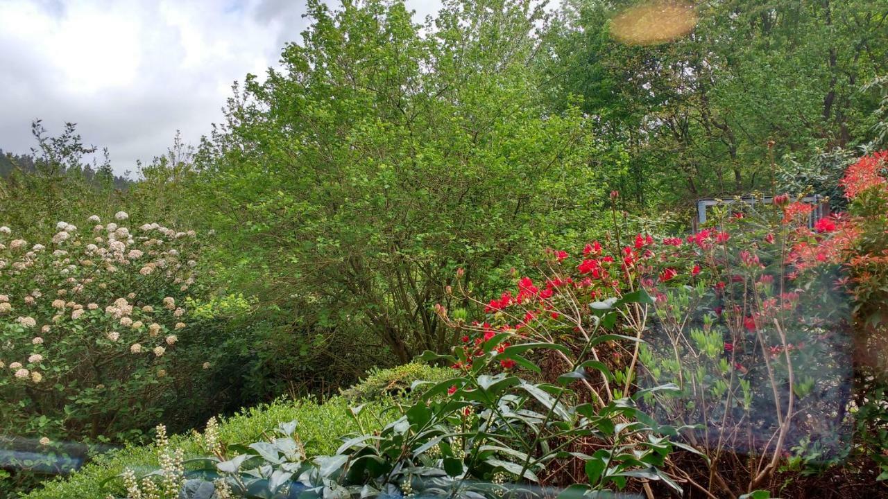 Ferienwohnung Rhododendron - Natur Pur Am Highwalk Rotenburg an der Fulda Extérieur photo